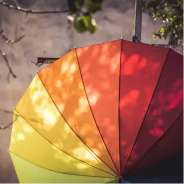 View products and services in Insurance Providers Picture for constellation Insurance Providers