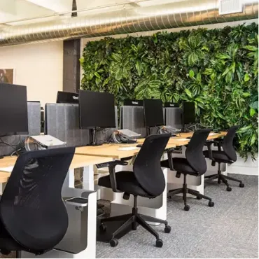 View products and services in Flexible Workspace Picture for constellation Flexible Workspace