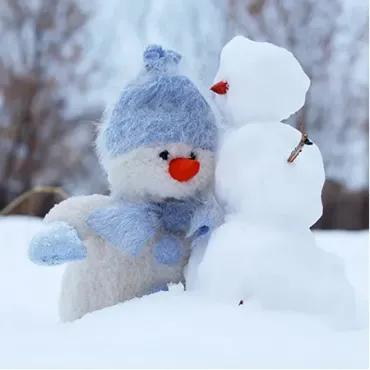 View products and services in Winter Protection Aiding Charities Picture for constellation Winter Protection Aiding Charities