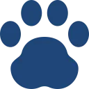 Picture for constellation Animals